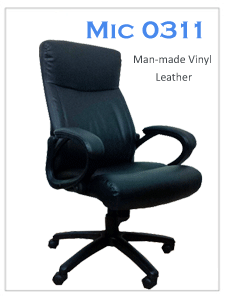 0311 Director Chair